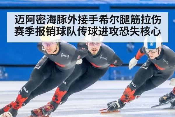 迈阿密海豚外接手希尔腿筋拉伤赛季报销球队传球进攻恐失核心